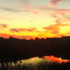 Meet your Posher, Sean